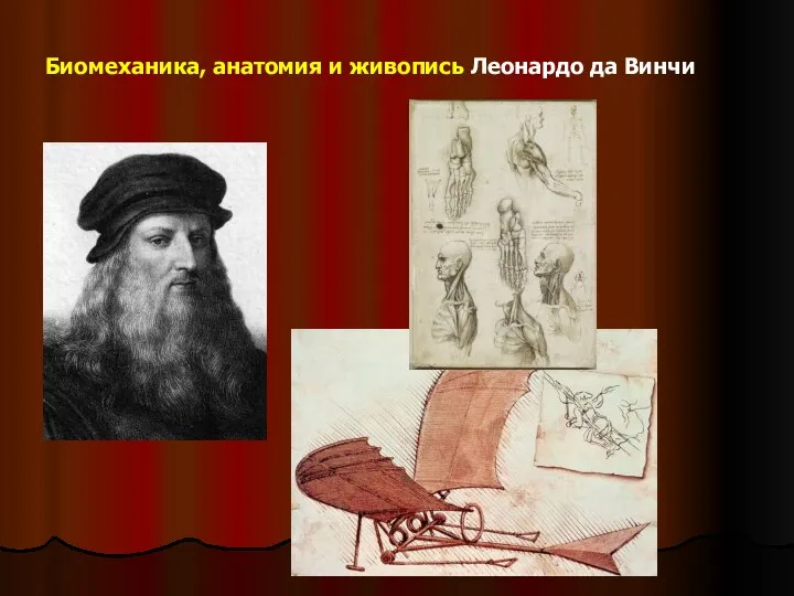Биомеханика, анатомия и живопись Леонардо да Винчи