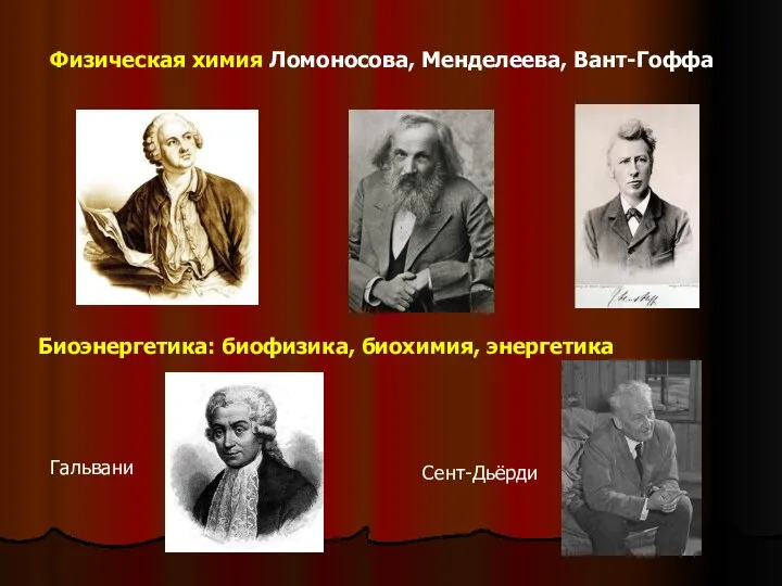 Физическая химия Ломоносова, Менделеева, Вант-Гоффа Биоэнергетика: биофизика, биохимия, энергетика Гальвани Сент-Дьёрди