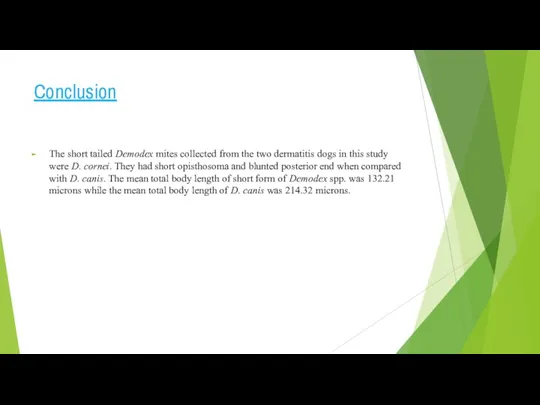 Conclusion The short tailed Demodex mites collected from the two dermatitis dogs