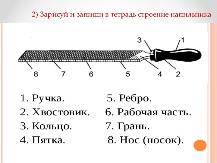 2) Зарисуй и запиши в тетрадь строение напильника