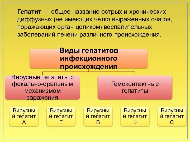 Гепатит ― общее название острых и хронических диффузных (не имеющих чётко выраженных