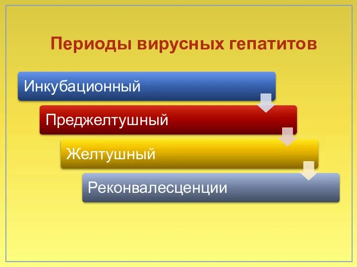 Периоды вирусных гепатитов