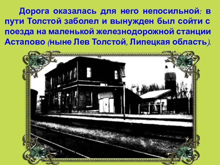 Дорога оказалась для него непосильной: в пути Толстой заболел и вынужден был