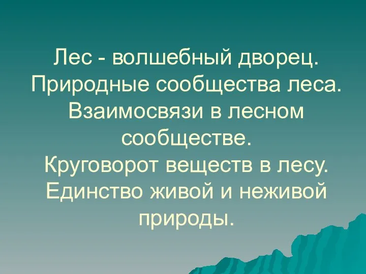 Лес - волшебный дворец. Природные сообщества леса. Взаимосвязи в лесном сообществе. Круговорот