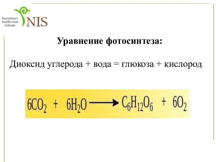 Уравнение фотосинтеза: Диоксид углерода + вода = глюкоза + кислород