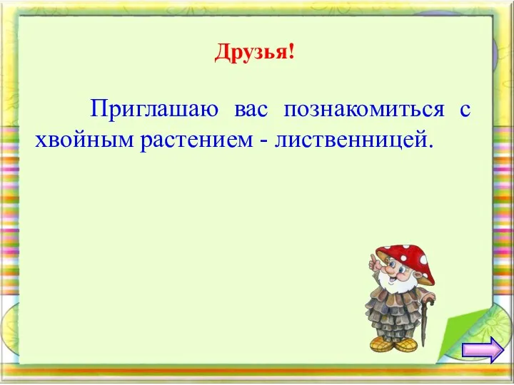 Друзья! Приглашаю вас познакомиться с хвойным растением - лиственницей.