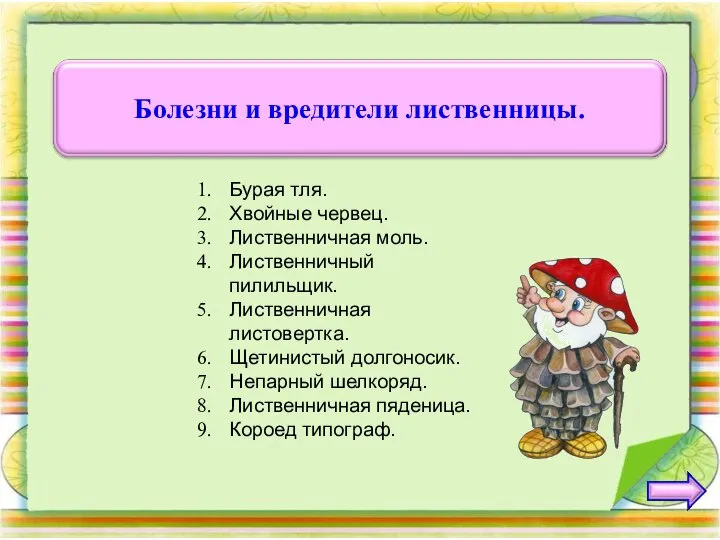 Бурая тля. Хвойные червец. Лиственничная моль. Лиственничный пилильщик. Лиственничная листовертка. Щетинистый долгоносик.