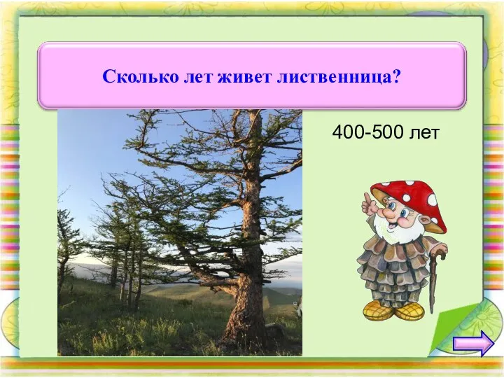 400-500 лет