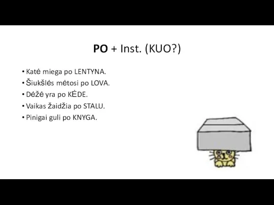 PO + Inst. (KUO?) Katė miega po LENTYNA. Šiukšlės mėtosi po LOVA.