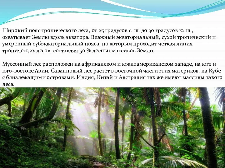 Широкий пояс тропического леса, от 25 градусов с. ш. до 30 градусов