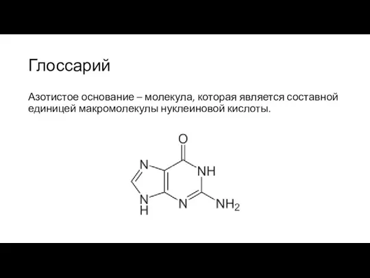 Глоссарий Азотистое основание – молекула, которая является составной единицей макромолекулы нуклеиновой кислоты.