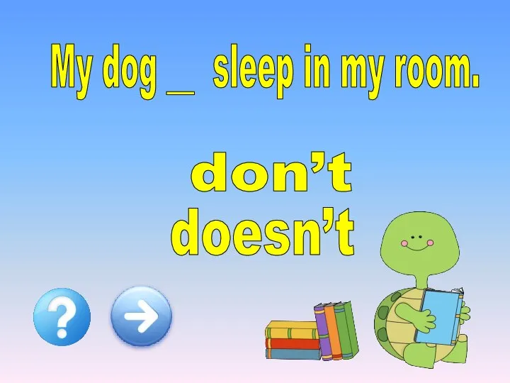 My dog __ sleep in my room. doesn’t don’t