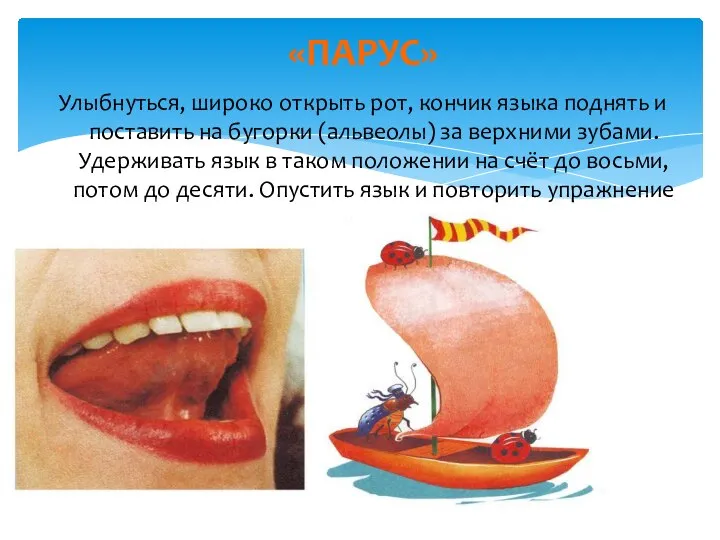 Улыбнуться, широко открыть рот, кончик языка поднять и поставить на бугорки (альвеолы)
