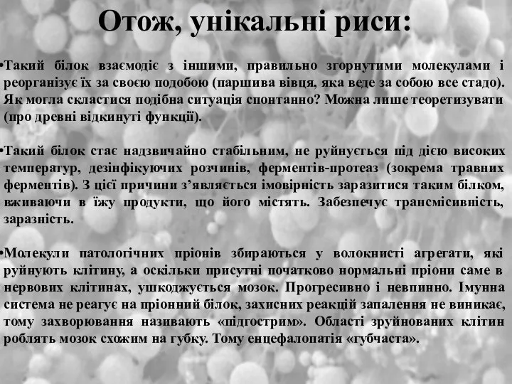 Отож, унікальні риси: Такий білок взаємодіє з іншими, правильно згорнутими молекулами і