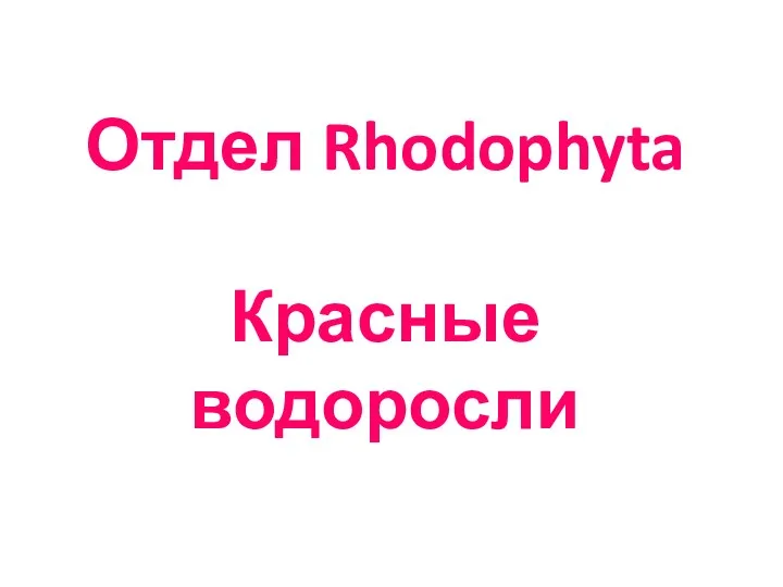 Отдел Rhodophyta Красные водоросли