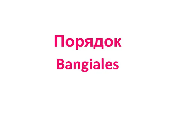 Порядок Bangiales