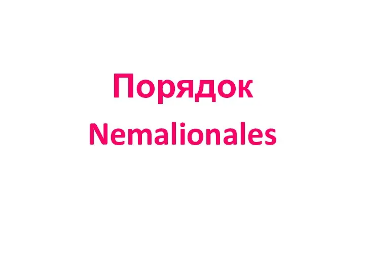 Порядок Nemalionales