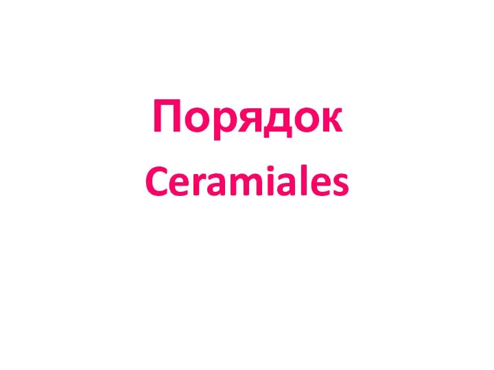 Порядок Ceramiales