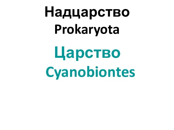 Надцарство Prokaryota Царство Cyanobiontes