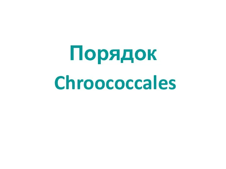 Порядок Chroococcales