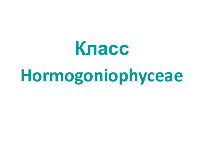 Класс Hormogoniophyceae