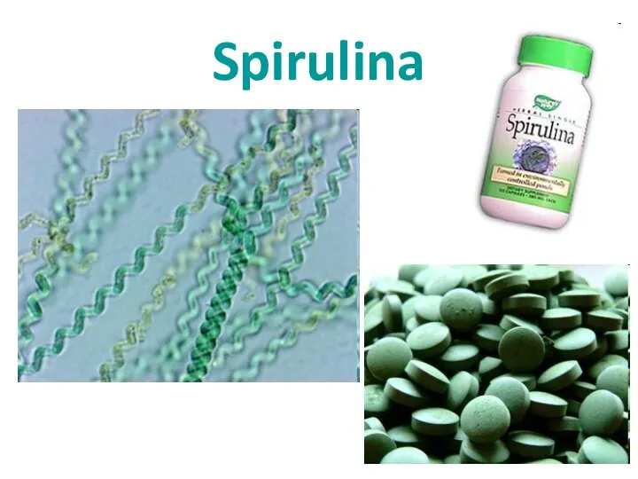 Spirulina