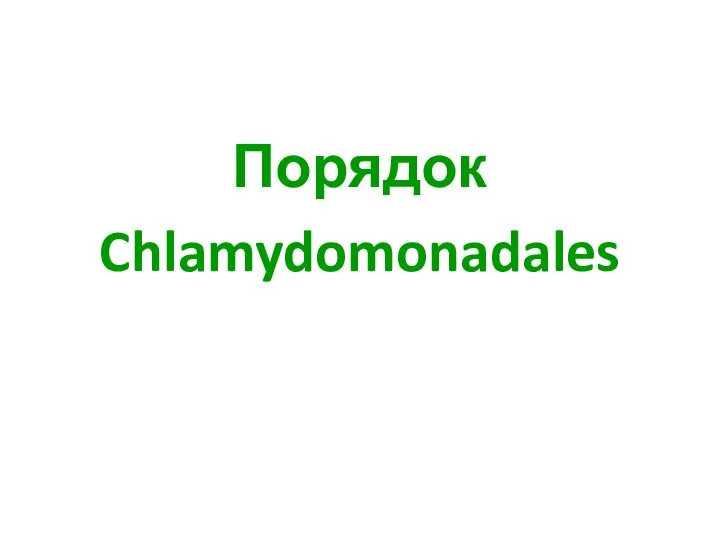 Порядок Chlamydomonadales