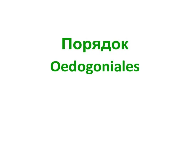 Порядок Oedogoniales