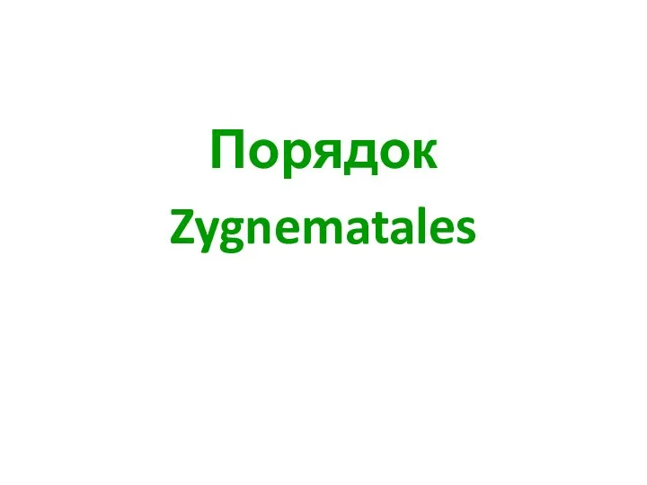 Порядок Zygnematales