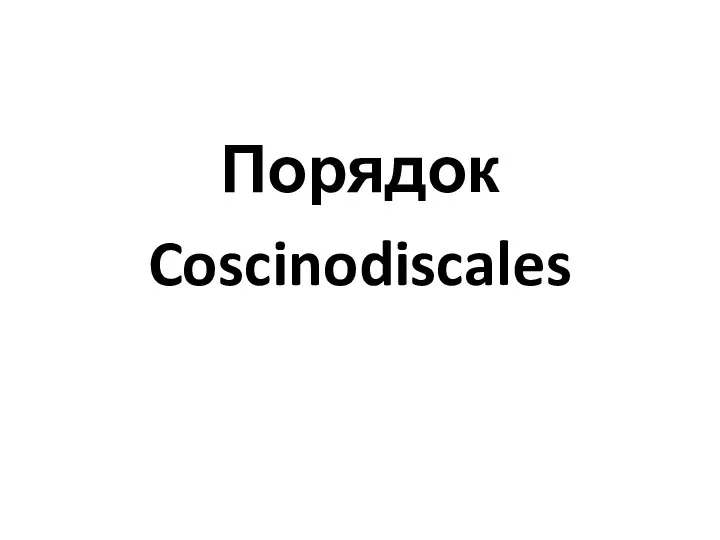 Порядок Coscinodiscales