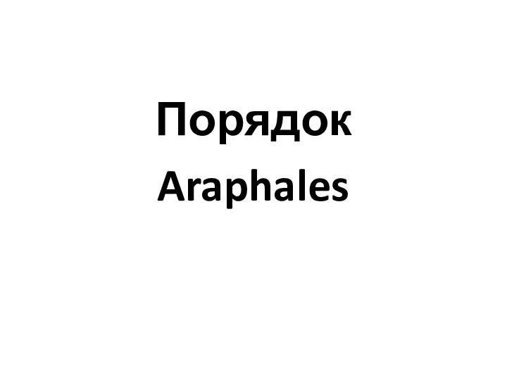 Порядок Araphales