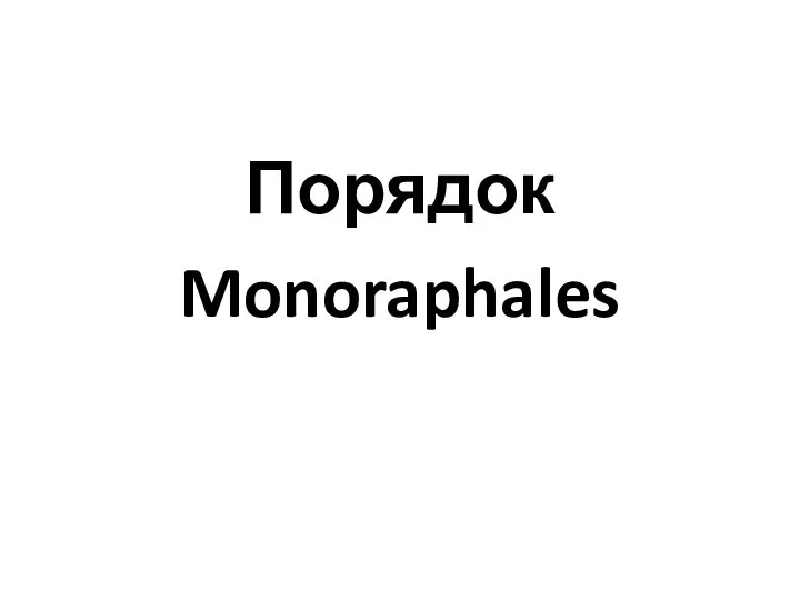 Порядок Monoraphales