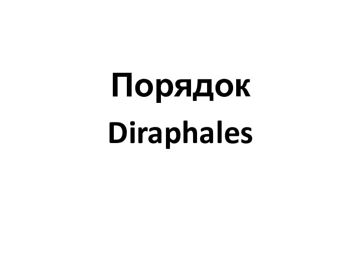 Порядок Diraphales