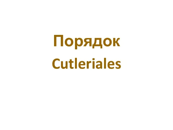 Порядок Cutleriales