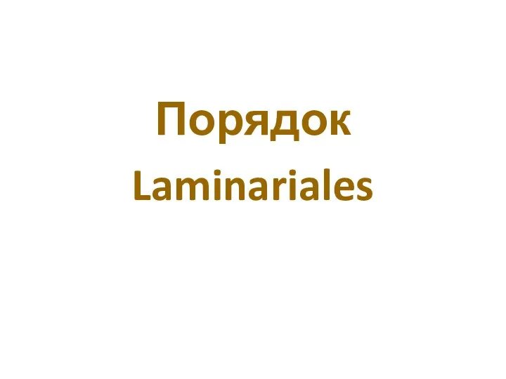 Порядок Laminariales