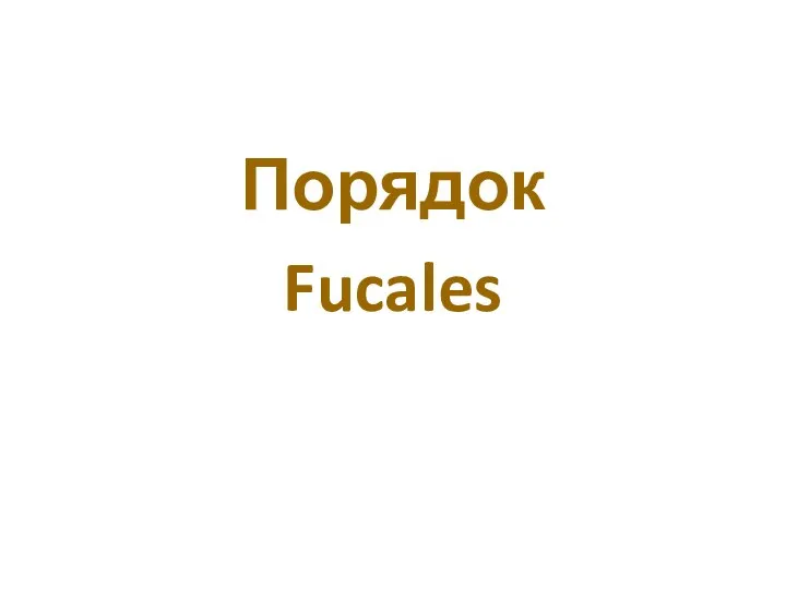 Порядок Fucales