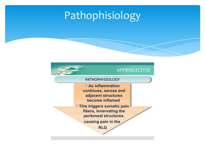 Pathophisiology