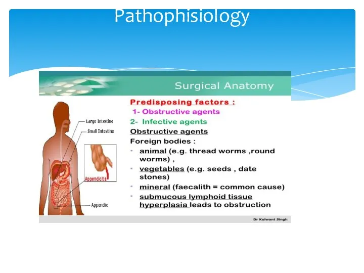 Pathophisiology