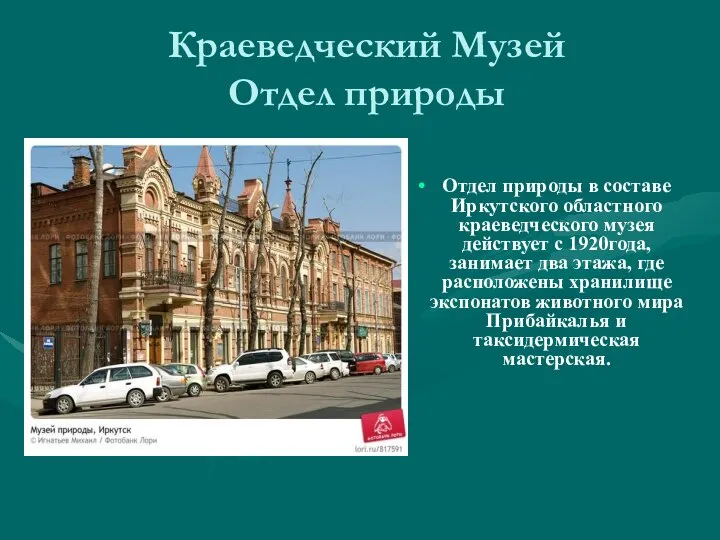 Краеведческий Музей Отдел природы Отдел природы в составе Иркутского областного краеведческого музея