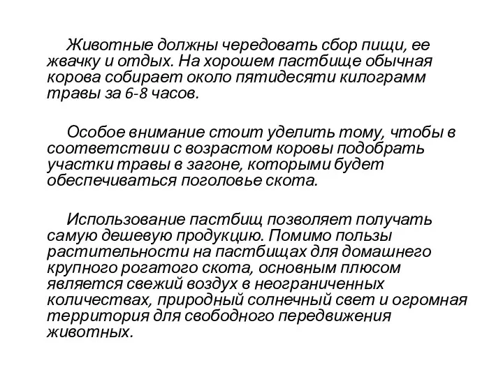 Животные должны чередовать сбор пищи, ее жвачку и отдых. На хорошем пастбище