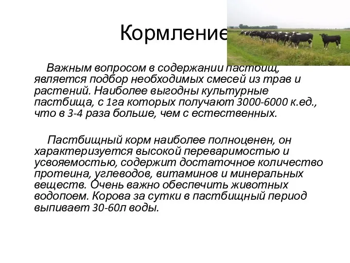 Кормление Важным вопросом в содержании пастбищ, является подбор необходимых смесей из трав