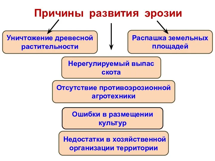 Причины развития эрозии Уничтожение древесной растительности Распашка земельных площадей Нерегулируемый выпас скота