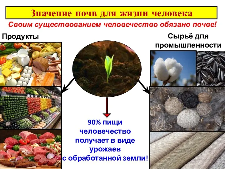 Значение почв для жизни человека Своим существованием человечество обязано почве! Продукты питания
