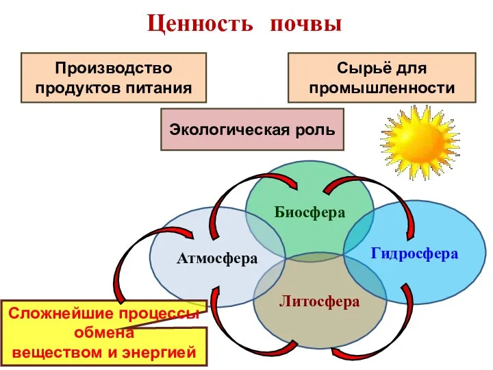 Ценность почвы Производство продуктов питания Сырьё для промышленности Экологическая роль Биосфера Литосфера