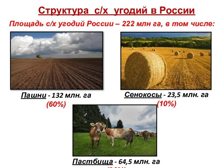 Структура с/х угодий в России Площадь с/х угодий России – 222 млн