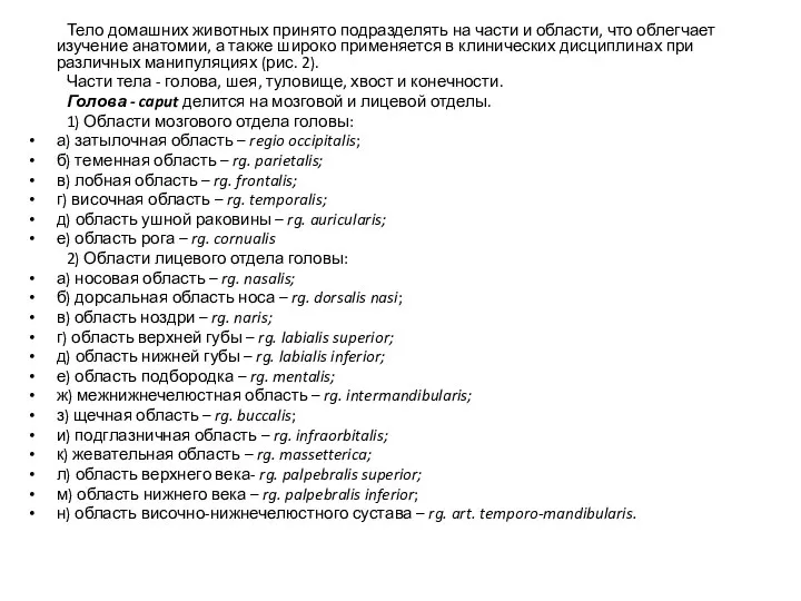 Тело домашних животных принято подразделять на части и области, что облегчает изучение