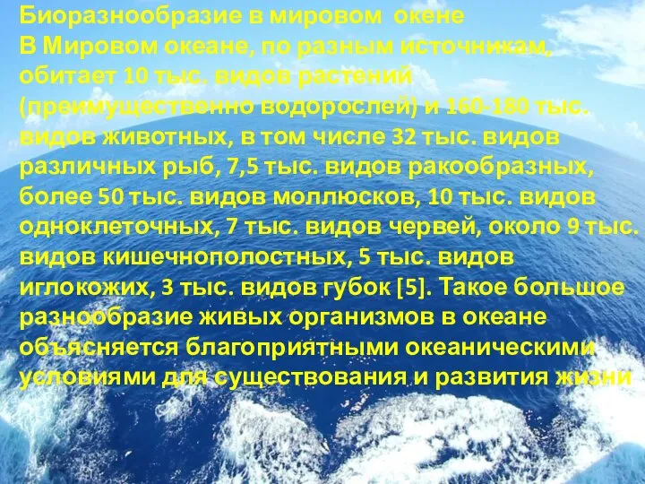 Биоразнообразие в мировом окене В Мировом океане, по разным источникам, обитает 10