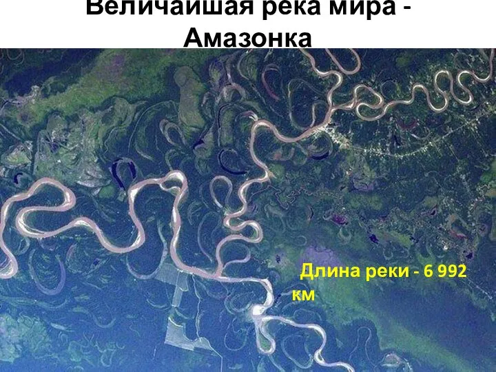 Величайшая река мира - Амазонка Длина реки - 6 992 км