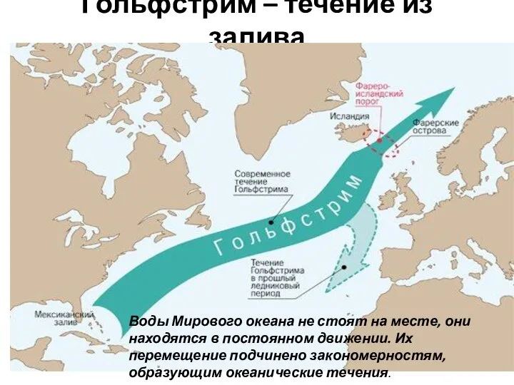 Гольфстрим – течение из залива Воды Мирового океана не стоят на месте,