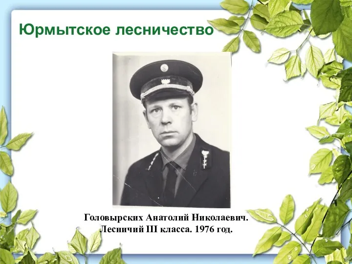 Юрмытское лесничество Головырских Анатолий Николаевич. Лесничий III класса. 1976 год.